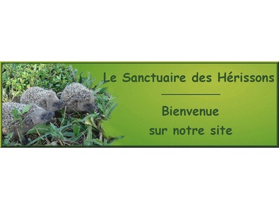 Le sanctuaire des hérissons