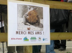  <a style='color: #fff;' href='/uploaded/photo/-5161400371f79.jpg'>(Télécharger)</a>