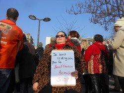  <a style='color: #fff;' href='/uploaded/photo/-516ad8d599a30.jpg'>(Télécharger)</a>