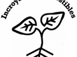  <a style='color: #fff;' href='/uploaded/photo/-5180bf4edaba1.jpg'>(Télécharger)</a>