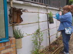 Deborah en flagrant délit d'arrosage de menthe <a style='color: #fff;' href='/uploaded/photo/-51939d03df405.jpg'>(Télécharger)</a>