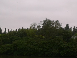 Au loin sur l'arbre un cormoran étend ses ailes <a style='color: #fff;' href='/uploaded/photo/-519bb6ddb2209.jpg'>(Télécharger)</a>