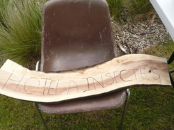  <a style='color: #fff;' href='/uploaded/photo/-51a614d1e2c37.jpg'>(Télécharger)</a>