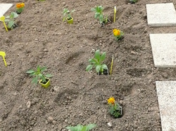  <a style='color: #fff;' href='/uploaded/photo/-51a6150f8e381.jpg'>(Télécharger)</a>