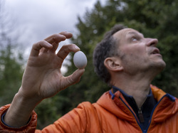  <a style='color: #fff;' href='/uploaded/photo/a-la-recherche-de-herissons-5fa407a57708f.jpg'>(Télécharger)</a>