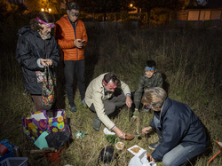  <a style='color: #fff;' href='/uploaded/photo/a-la-recherche-de-herissons-5fa407b595665.jpg'>(Télécharger)</a>