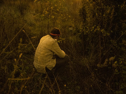  <a style='color: #fff;' href='/uploaded/photo/a-la-recherche-de-herissons-5fa407d903845.jpg'>(Télécharger)</a>