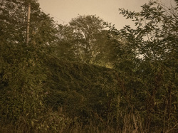  <a style='color: #fff;' href='/uploaded/photo/a-la-recherche-de-herissons-5fa407eb33770.jpg'>(Télécharger)</a>