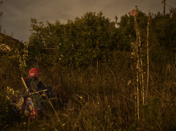  <a style='color: #fff;' href='/uploaded/photo/a-la-recherche-de-herissons-5fa407ef0bc77.jpg'>(Télécharger)</a>