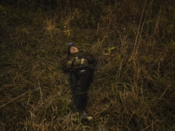  <a style='color: #fff;' href='/uploaded/photo/a-la-recherche-de-herissons-5fa407f3ad280.jpg'>(Télécharger)</a>