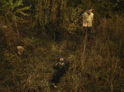  <a style='color: #fff;' href='/uploaded/photo/a-la-recherche-de-herissons-5fa407f3e872a.jpg'>(Télécharger)</a>