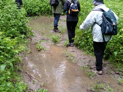  <a style='color: #fff;' href='/uploaded/photo/a-la-rencontre-du-ru-de-buzot-574c39b1c229c.jpg'>(Télécharger)</a>