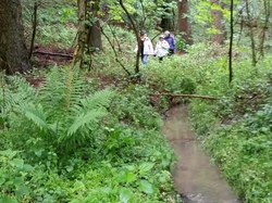  <a style='color: #fff;' href='/uploaded/photo/a-la-rencontre-du-ru-de-buzot-574c3a46b0634.jpg'>(Télécharger)</a>