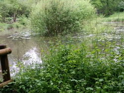  <a style='color: #fff;' href='/uploaded/photo/a-la-rencontre-du-ru-de-buzot-574c3a782b8ec.jpg'>(Télécharger)</a>