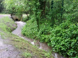  <a style='color: #fff;' href='/uploaded/photo/a-la-rencontre-du-ru-de-buzot-574c3af83d71c.jpg'>(Télécharger)</a>