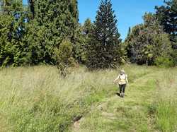  <a style='color: #fff;' href='/uploaded/photo/arboretum-de-chevreloup-60e463c76cb16.jpg'>(Télécharger)</a>