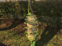  <a style='color: #fff;' href='/uploaded/photo/atelier-refuge-lpo-21-janvier-2017-5889cf5261b0e.jpg'>(Télécharger)</a>