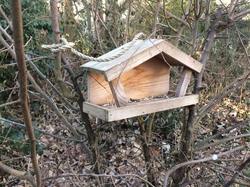  <a style='color: #fff;' href='/uploaded/photo/atelier-refuge-lpo-21-janvier-2017-5889cf55019bb.jpg'>(Télécharger)</a>