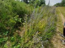  <a style='color: #fff;' href='/uploaded/photo/boucle-de-moisson-60e467c439094.jpg'>(Télécharger)</a>