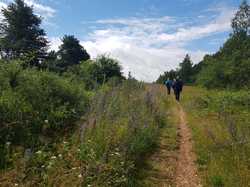  <a style='color: #fff;' href='/uploaded/photo/boucle-de-moisson-60e467c607c0d.jpg'>(Télécharger)</a>