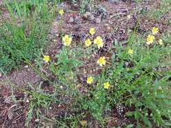  <a style='color: #fff;' href='/uploaded/photo/boucle-de-moisson-60e467c63a468.jpg'>(Télécharger)</a>