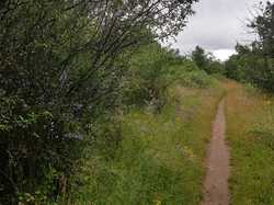  <a style='color: #fff;' href='/uploaded/photo/boucle-de-moisson-60e467c6ef632.jpg'>(Télécharger)</a>