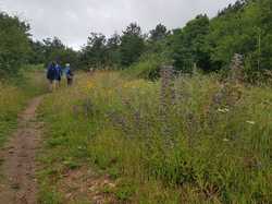  <a style='color: #fff;' href='/uploaded/photo/boucle-de-moisson-60e467c757bf4.jpg'>(Télécharger)</a>