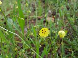  <a style='color: #fff;' href='/uploaded/photo/boucle-de-moisson-60e467c7bfa0c.jpg'>(Télécharger)</a>