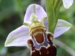  <a style='color: #fff;' href='/uploaded/photo/boucle-de-moisson-sortie-semi-nocturne-62babf1a711aa.jpg'>(Télécharger)</a>