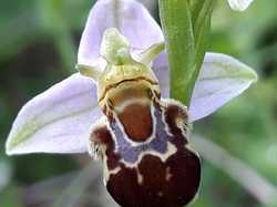  <a style='color: #fff;' href='/uploaded/photo/boucle-de-moisson-sortie-semi-nocturne-62babf1b172e9.jpg'>(Télécharger)</a>