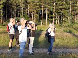  <a style='color: #fff;' href='/uploaded/photo/boucle-de-moisson-sortie-semi-nocturne-62babf1b79a9c.jpg'>(Télécharger)</a>