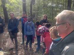  <a style='color: #fff;' href='/uploaded/photo/chataignes-618179543959f.jpg'>(Télécharger)</a>