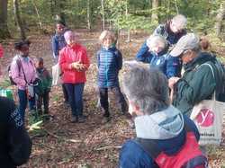  <a style='color: #fff;' href='/uploaded/photo/chataignes-61817954cba27.jpg'>(Télécharger)</a>