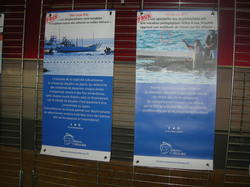  <a style='color: #fff;' href='/uploaded/photo/cine-debat-avec-reseau-cetacees-5c6fda118600e.jpg'>(Télécharger)</a>