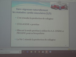  <a style='color: #fff;' href='/uploaded/photo/conference-sante-par-etienne-jaber-5c4c9b1049492.jpg'>(Télécharger)</a>