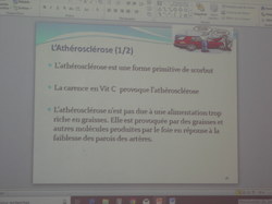  <a style='color: #fff;' href='/uploaded/photo/conference-sante-par-etienne-jaber-5c4c9b111abab.jpg'>(Télécharger)</a>