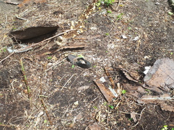  <a style='color: #fff;' href='/uploaded/photo/coupes-en-foret-de-la-vente-5eb944b2dc950.jpg'>(Télécharger)</a>