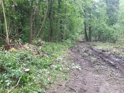  <a style='color: #fff;' href='/uploaded/photo/coupes-en-foret-de-marly-et-de-la-vente-5eb9291a27464.jpg'>(Télécharger)</a>