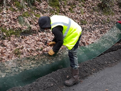  <a style='color: #fff;' href='/uploaded/photo/crapaudrome-ormoy-la-riviere-62015a3b97724.jpg'>(Télécharger)</a>