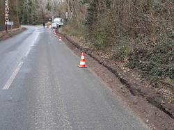  <a style='color: #fff;' href='/uploaded/photo/crapaudrome-ormoy-la-riviere-62015a3d6be52.jpg'>(Télécharger)</a>