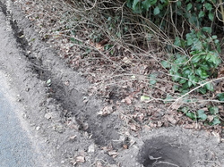  <a style='color: #fff;' href='/uploaded/photo/crapaudrome-ormoy-la-riviere-62015a3f5c229.jpg'>(Télécharger)</a>