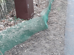  <a style='color: #fff;' href='/uploaded/photo/crapaudrome-ormoy-la-riviere-62015a4bdfa01.jpg'>(Télécharger)</a>