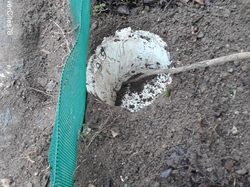  <a style='color: #fff;' href='/uploaded/photo/crapaudrome-ormoy-la-riviere-62015a538ce02.jpg'>(Télécharger)</a>