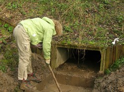  <a style='color: #fff;' href='/uploaded/photo/crapauduc-22-fevrier-2014-536e65bce4151.jpg'>(Télécharger)</a>