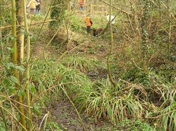  <a style='color: #fff;' href='/uploaded/photo/crapauduc-22-fevrier-2014-536e662f3857b.jpg'>(Télécharger)</a>