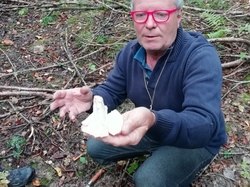  <a style='color: #fff;' href='/uploaded/photo/cueillete-champignons-5f6e18fc38f58.jpg'>(Télécharger)</a>