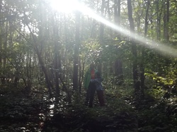  <a style='color: #fff;' href='/uploaded/photo/cueillete-champignons-5f6e18fc66afc.jpg'>(Télécharger)</a>