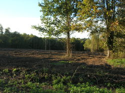  <a style='color: #fff;' href='/uploaded/photo/defrichement-a-fourqueux-aout-2014-543e80d659378.jpg'>(Télécharger)</a>