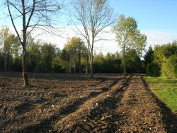  <a style='color: #fff;' href='/uploaded/photo/defrichement-a-fourqueux-aout-2014-543e80da4eac2.jpg'>(Télécharger)</a>