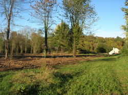  <a style='color: #fff;' href='/uploaded/photo/defrichement-a-fourqueux-aout-2014-543e80e8cbd23.jpg'>(Télécharger)</a>